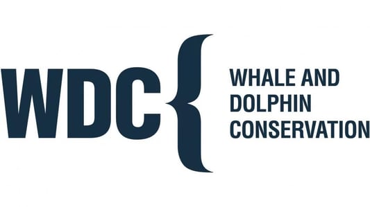 WDC Logo